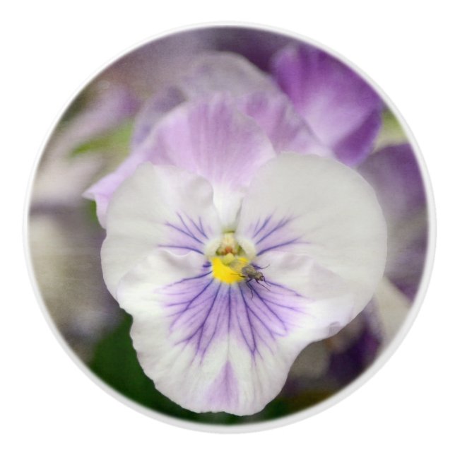 Bouton De Porte En Céramique Violons Violets Et Blancs (Devant)