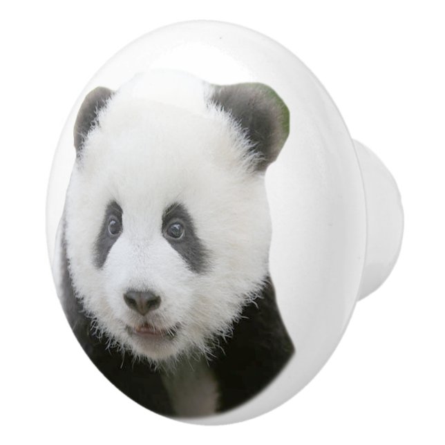 Bouton De Porte En Céramique Visage de panda (Droite)