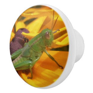 Bouton De Porte En Céramique Vous regardez - Grasshopper