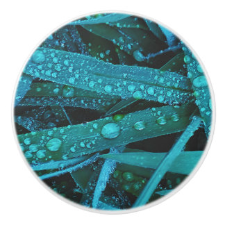 Bouton De Porte En Céramique Water Drops Along the Grass