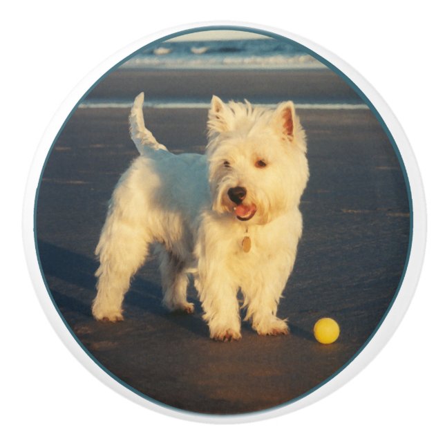 Bouton De Porte En Céramique Westie (Devant)