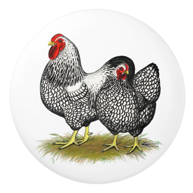 Bouton De Porte En Céramique Wyandotte :  Paires argentées (Devant)