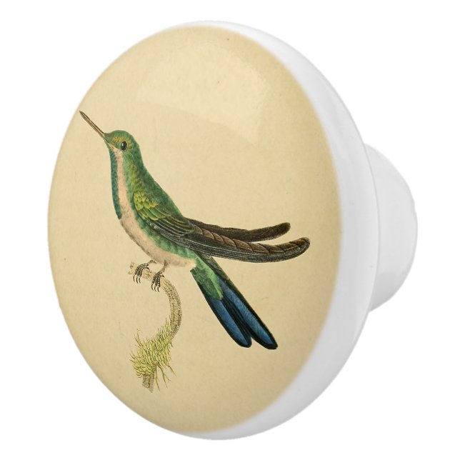 Bouton de tiroir de colibri vintage 1830 (Droite)