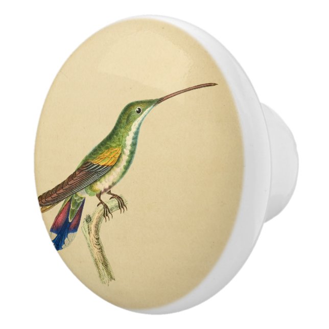 Bouton de tiroir vintage rouge vert colibri (Droite)