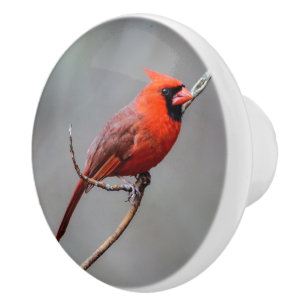 Bouton en céramique cardinal