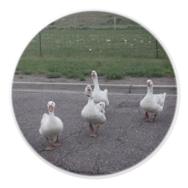 Bouton en céramique de canard (Devant)