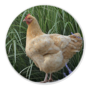Bouton en céramique de poulet