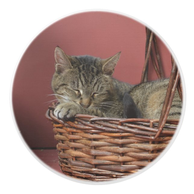 Bouton en céramique de Sleeping Kitty (Devant)