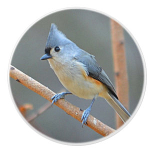 Bouton en céramique d'oiseau