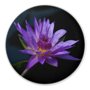 Bouton en céramique nénuphar