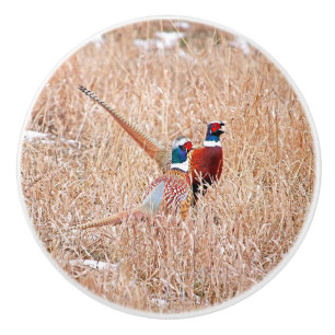 Bouton en céramique personnalisée Pheasant à cou c