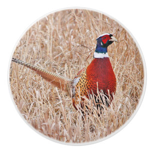 Bouton en céramique personnalisée Pheasant à cou c