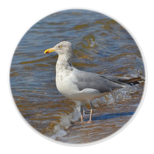 Bouton en céramique Seagull (Devant)