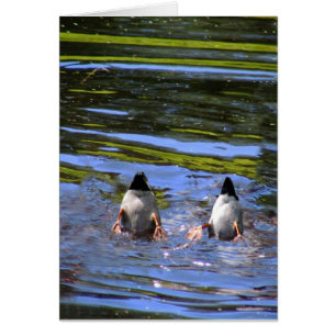 Boutons de canard