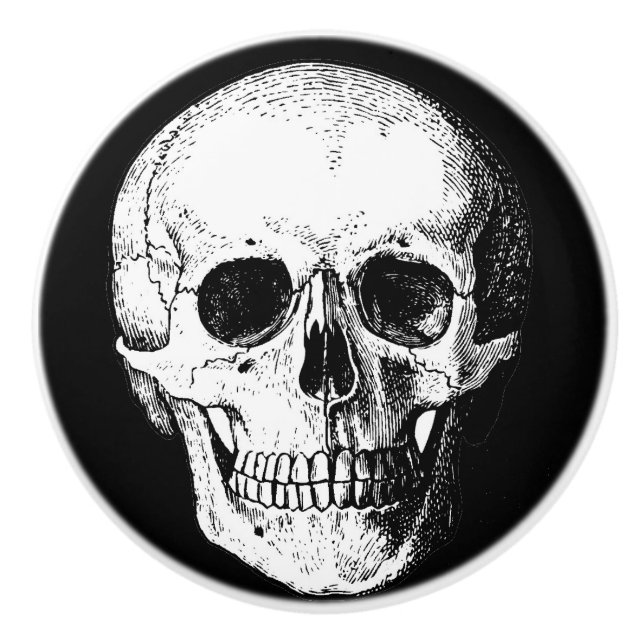 Boutons de coffret/meubles de crâne (Devant)