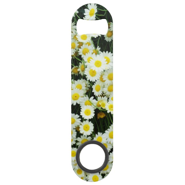 Boutons de fleurs de marguerite délicate jaune,  (Devant)