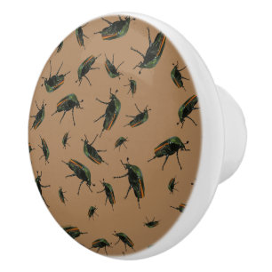 Boutons de insectes
