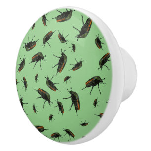 Boutons de insectes