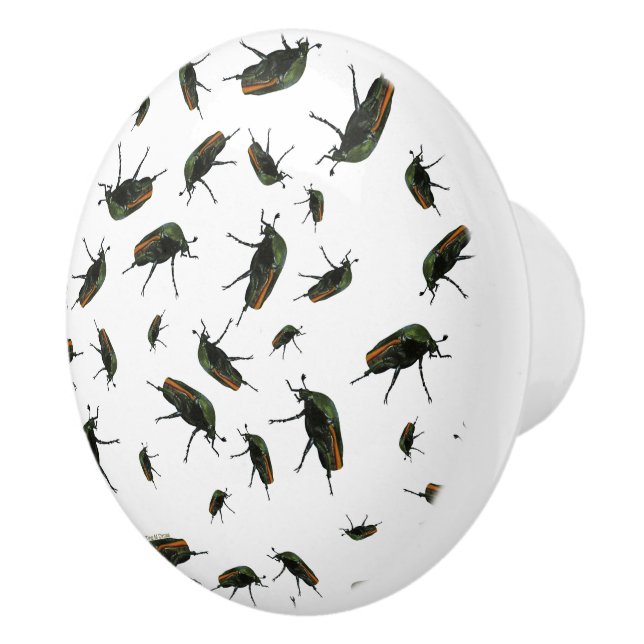 Boutons de insectes (Droite)