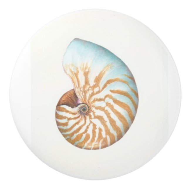 Boutons de porte : Nautilus (Devant)