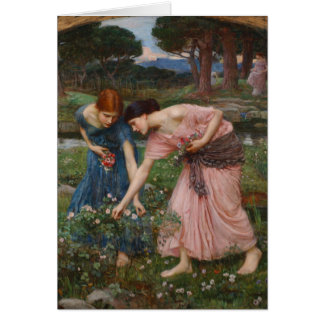 Boutons de rose du YE de rassemblement tandis que