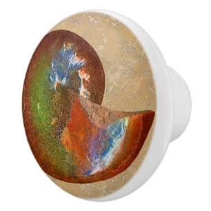 Boutons de tiroir en ammonite Sphenodiscus Lenticu