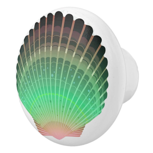 Boutons de tiroirs en coquille de mer de plage - S (Droite)