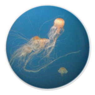 Boutons en céramique de méduses