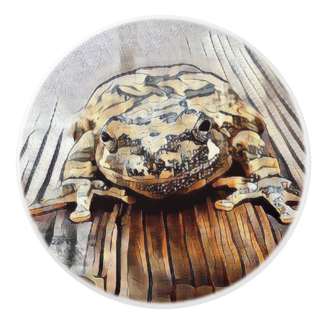 Boutons en céramique décoratifs artistiques de (Devant)