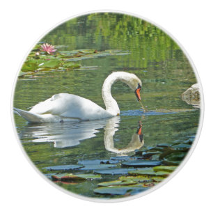 boutons en céramique, "SWAN ON LILY POND"