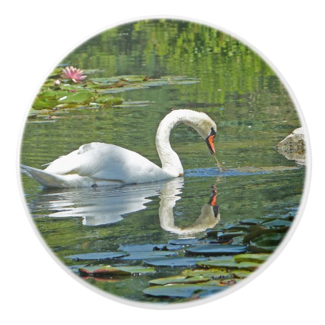 boutons en céramique, "SWAN ON LILY POND" (Devant)