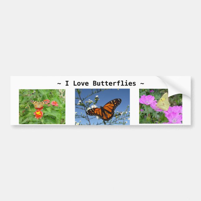 Boutons et fleurs Bumper Sticker (Devant)