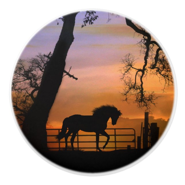 Boutons Whimsical Horse (Devant)