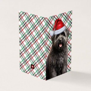 Bouvier Christmas Chien avec Holiday Plaid