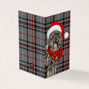 Bouvier Christmas Chien avec Holiday Plaid