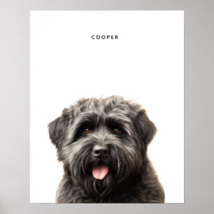 Bouvier Des Flandres Impression personnalisée