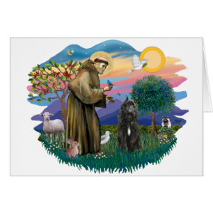 Bouvier des Flandres (noir)