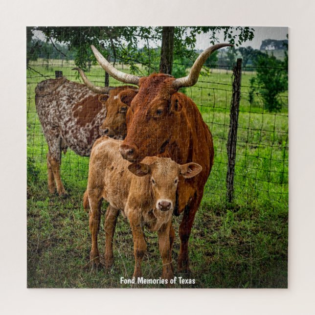 Bovins de la Corne Longue Texas. Jigsaw Puzzle (Vertical)