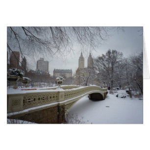Bow Bridge en hiver, Central Park, New York City