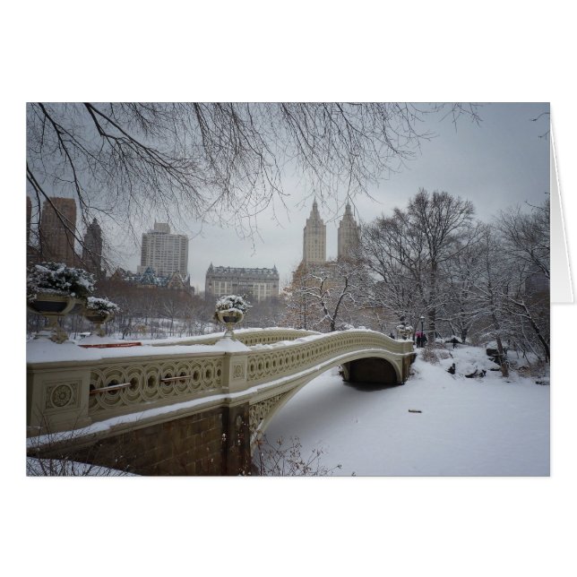 Bow Bridge en hiver, Central Park, New York City (Devant horizontal)
