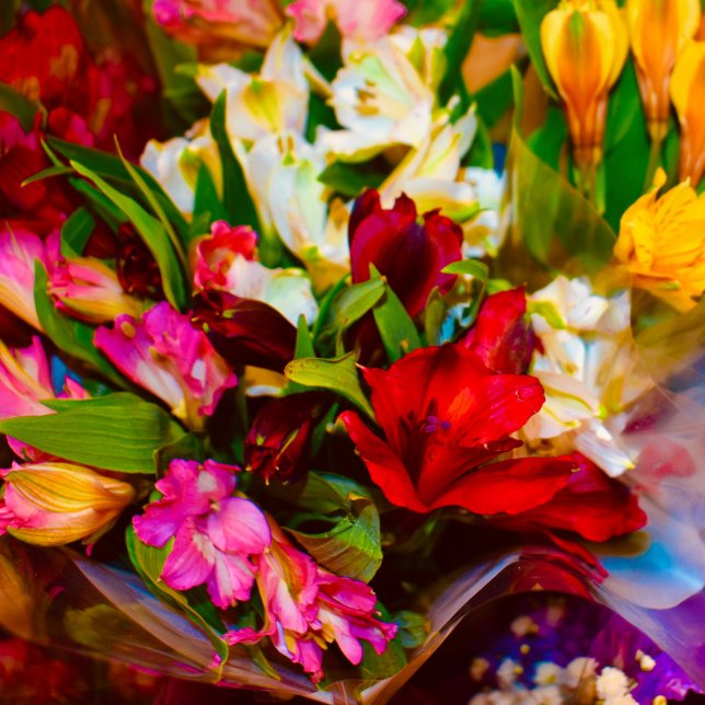 Box boîte à lunch cheval (floral beauty)