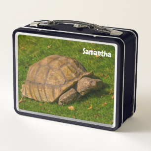 Box Boîte à lunch en métal de petite tortue