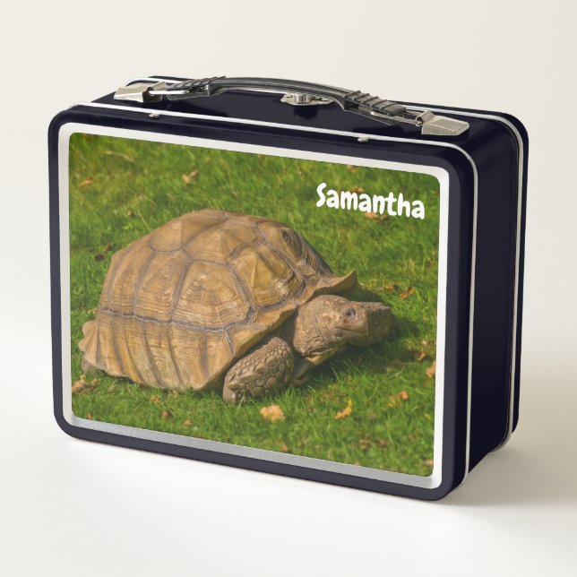 Box Boîte à lunch en métal de petite tortue (Dos)