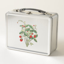 Boîte à lunch Fraise des bois