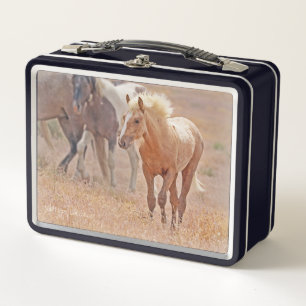 Box Boîte à lunch pour le poulain de cheval sauvage