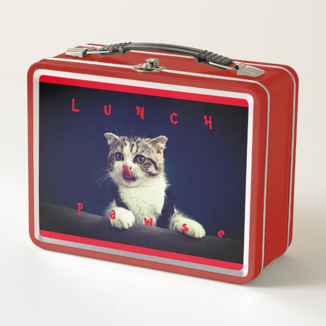 Box Boîte à lunch rouge Boîte à lunch métallique (Devant)