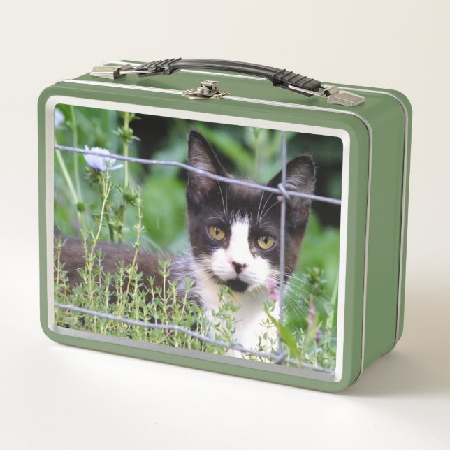 Box Boîte à lunch Tuxedo Kitten (Devant)