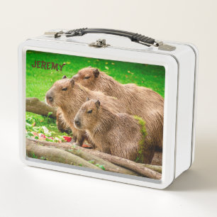 Box Capybara Trio Boîte à lunch métallique
