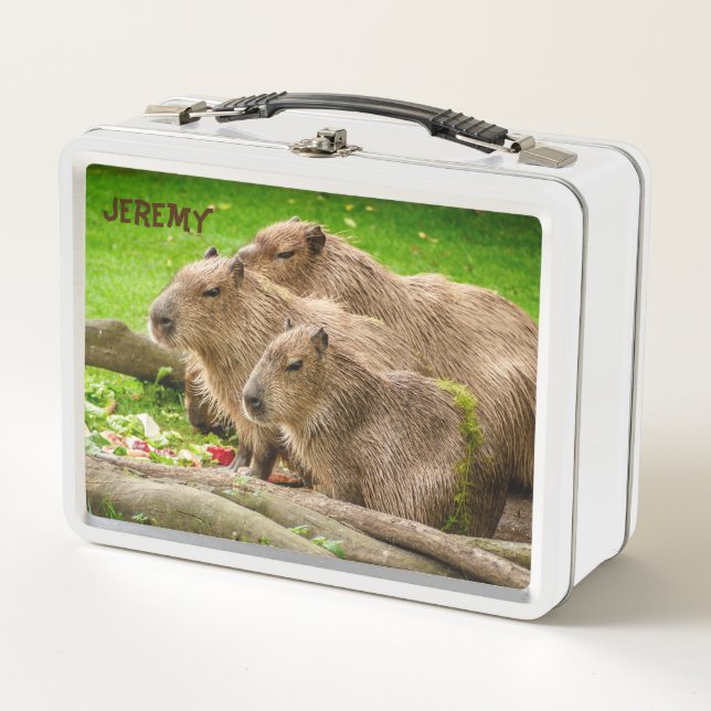 Box Capybara Trio Boîte à lunch métallique (Devant)