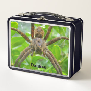 Box Grande boîte à lunch Brown Spider